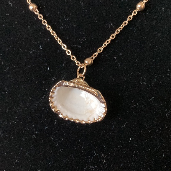 Natural Painted Shell Charm Pendant Purple and Green Gold Chain Link Necklace - Picture 11 of 12